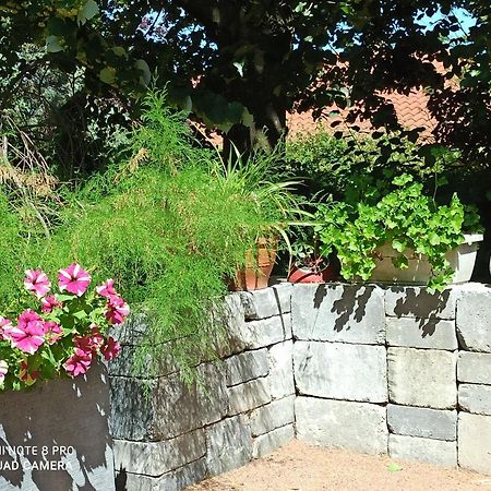 Bed and Breakfast Erable Pourpre Saint-Georges-Haute-Ville Exterior foto