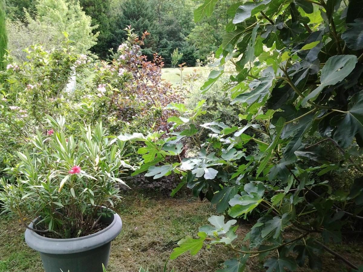 Bed and Breakfast Erable Pourpre Saint-Georges-Haute-Ville Exterior foto